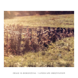 Lisa Russo Fine Art Farmhouse Decor Meander | Vintage Fall Fence