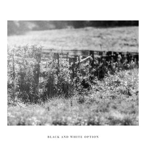 Lisa Russo Fine Art Farmhouse Decor Meander | Vintage Fall Fence