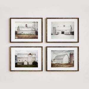 White Barns Through the Seasons | Art Prints Set of 4