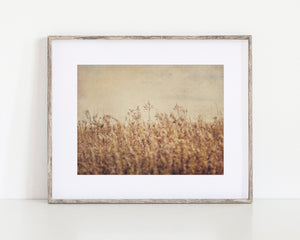 Lisa Russo Fine Art Farmhouse Decor Painterly Wheatfield