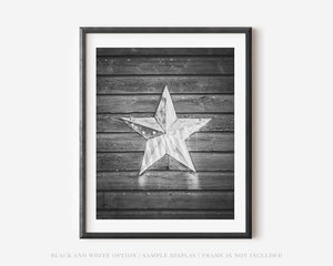 Lisa Russo Fine Art Farmhouse Decor Primitive Patriotic Star | Rustic Americana