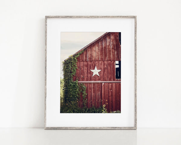 Rustic Red Barn Art Print with Primitive White Star and Ivy