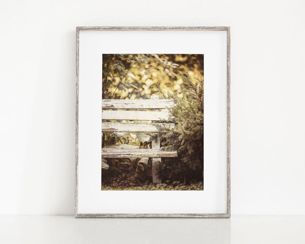 Golden Fall Trees with Weathered White Bench Art Print