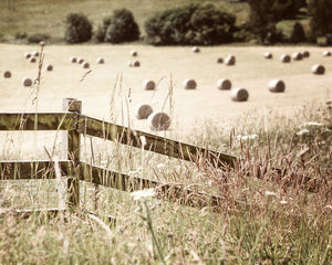 Scotland Hayfield Print - Scenic Pitlochry Landscape Art