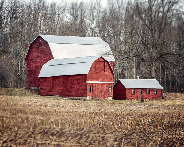 Fall Landscape Art - Three Red Barns
