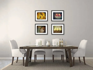 Lisa Russo Fine Art Floral Photography Sunflower Kitchen Art Print Set of 4