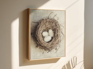 Lisa Russo Fine Art Framed Canvas Framed Bird Nest Canvas Wall Art