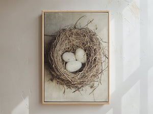 Lisa Russo Fine Art Framed Canvas Framed Bird Nest Canvas Wall Art