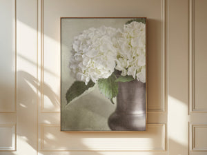 Lisa Russo Fine Art Framed Canvas Framed Canvas | White Hydrangea Floral Wall Art in Vase