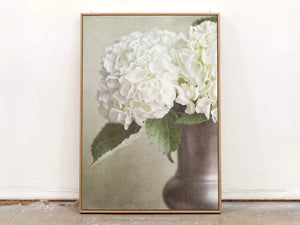 Lisa Russo Fine Art Framed Canvas Framed Canvas | White Hydrangea Floral Wall Art in Vase
