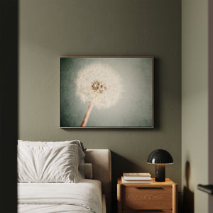 Lisa Russo Fine Art Framed Canvas Framed Dandelion Canvas Wall Art