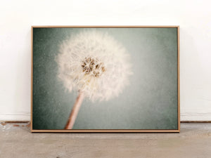 Lisa Russo Fine Art Framed Canvas Framed Dandelion Canvas Wall Art