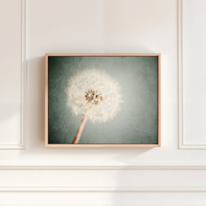 Lisa Russo Fine Art Framed Canvas Framed Dandelion Canvas Wall Art