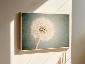 Lisa Russo Fine Art Framed Canvas Framed Dandelion Canvas Wall Art