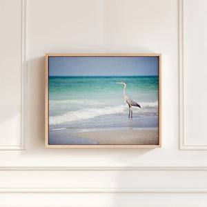 Lisa Russo Fine Art Framed Canvas Great Blue Heron at the Shore – Framed Coastal Canvas Wall Art