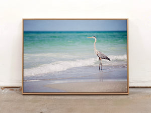 Lisa Russo Fine Art Framed Canvas Great Blue Heron at the Shore – Framed Coastal Canvas Wall Art