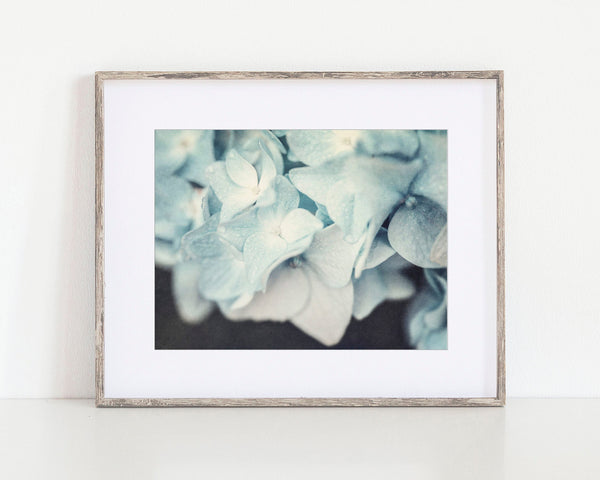 Blue Hydrangea Print - Floral Wall Art - Shabby Chic Decor