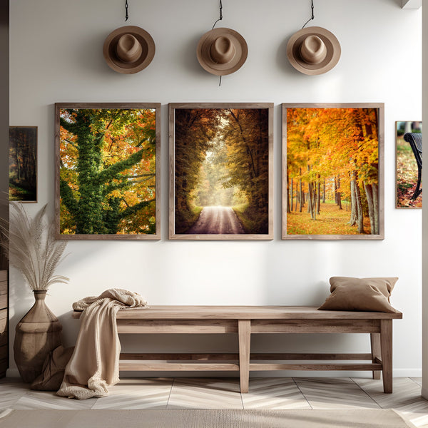 Lisa Russo Fine Art Nature Photography Autumn Perfection | Art Prints Set of 3