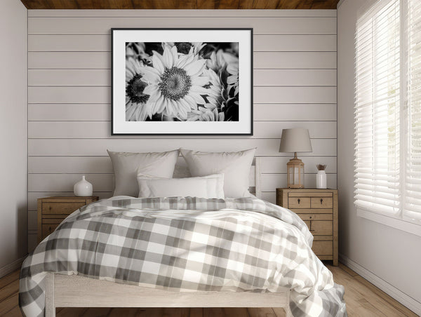 Lisa Russo Fine Art Nature Photography Black and White Modern Sunflowers Print