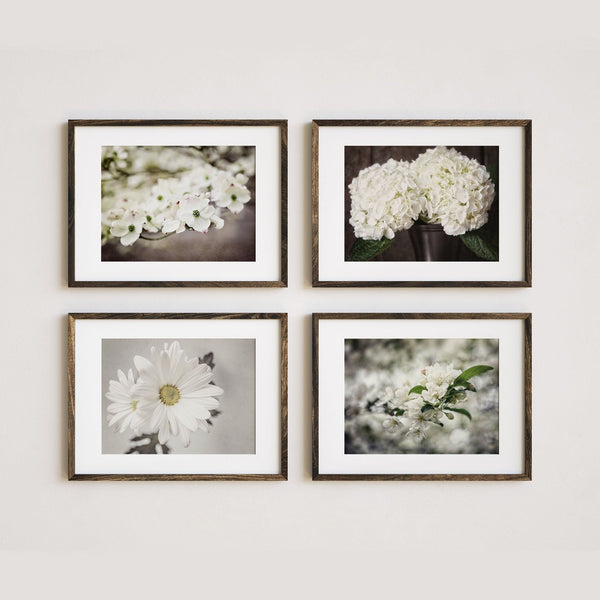 Lisa Russo Fine Art Nature Photography Brown & Ivory Florals