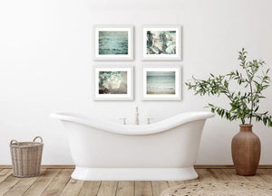 Lisa Russo Fine Art Nature Photography Coastal and Floral Art Prints - Set of 4 for Bedroom or Bathroom