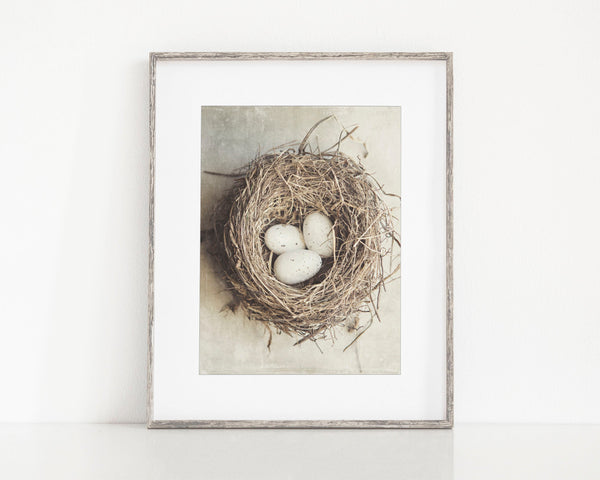 Cottage Chic Bird's Nest with Eggs