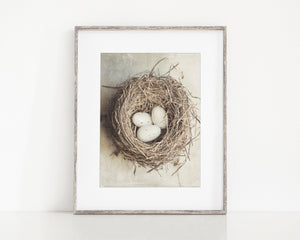 Neutral Beige Cottage Chic Birds Nest with Eggs - Kitchen, Nursery Art