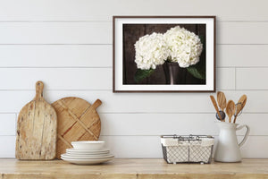 Lisa Russo Fine Art Nature Photography Country Style White Hydrangea Art Print - Beautiful Floral Decor