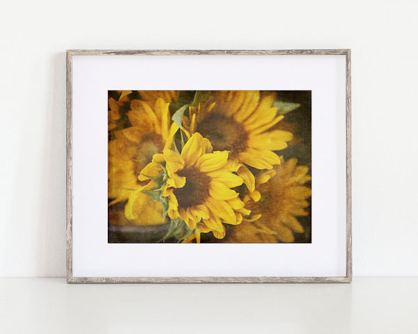 Country Sunflowers Art Print in Yellow - Floral Home Decor