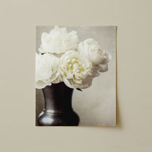 Lisa Russo Fine Art Nature Photography Cream Peonies Art Print - Neutral Shabby Chic Home Decor
