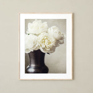 Lisa Russo Fine Art Nature Photography Cream Peonies Art Print - Neutral Shabby Chic Home Decor