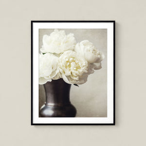 Lisa Russo Fine Art Nature Photography Cream Peonies Art Print - Neutral Shabby Chic Home Decor