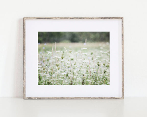 Green and White Queen Annes Lace Landscape Decor - Shabby Chic Style