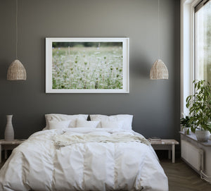 Lisa Russo Fine Art Nature Photography Field of Lace