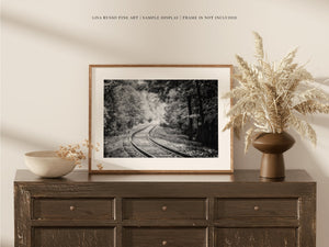 Lisa Russo Fine Art Nature Photography Into the Woods