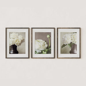 Lisa Russo Fine Art Nature Photography Ivory Floral 3