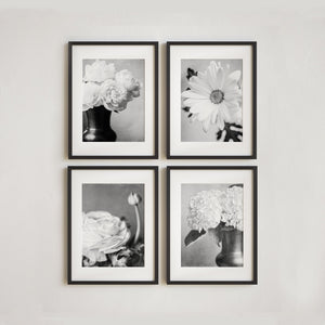 Nature Photography - French Country Floral Wall Art Set of 4 Prints