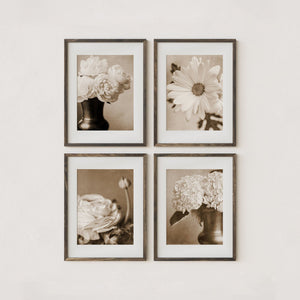 Nature Photography - French Country Floral Wall Art Set of 4 Prints