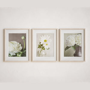 Lisa Russo Fine Art Nature Photography Ivory Florals 3 with Daisy