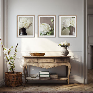 Lisa Russo Fine Art Nature Photography Ivory Florals | Art Prints Set of 3