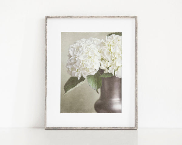 Ivory Hydrangea Art Print - Neutral Shabby Chic or French Country Home Decor