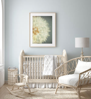 Lisa Russo Fine Art Nature Photography Macro Dandelion