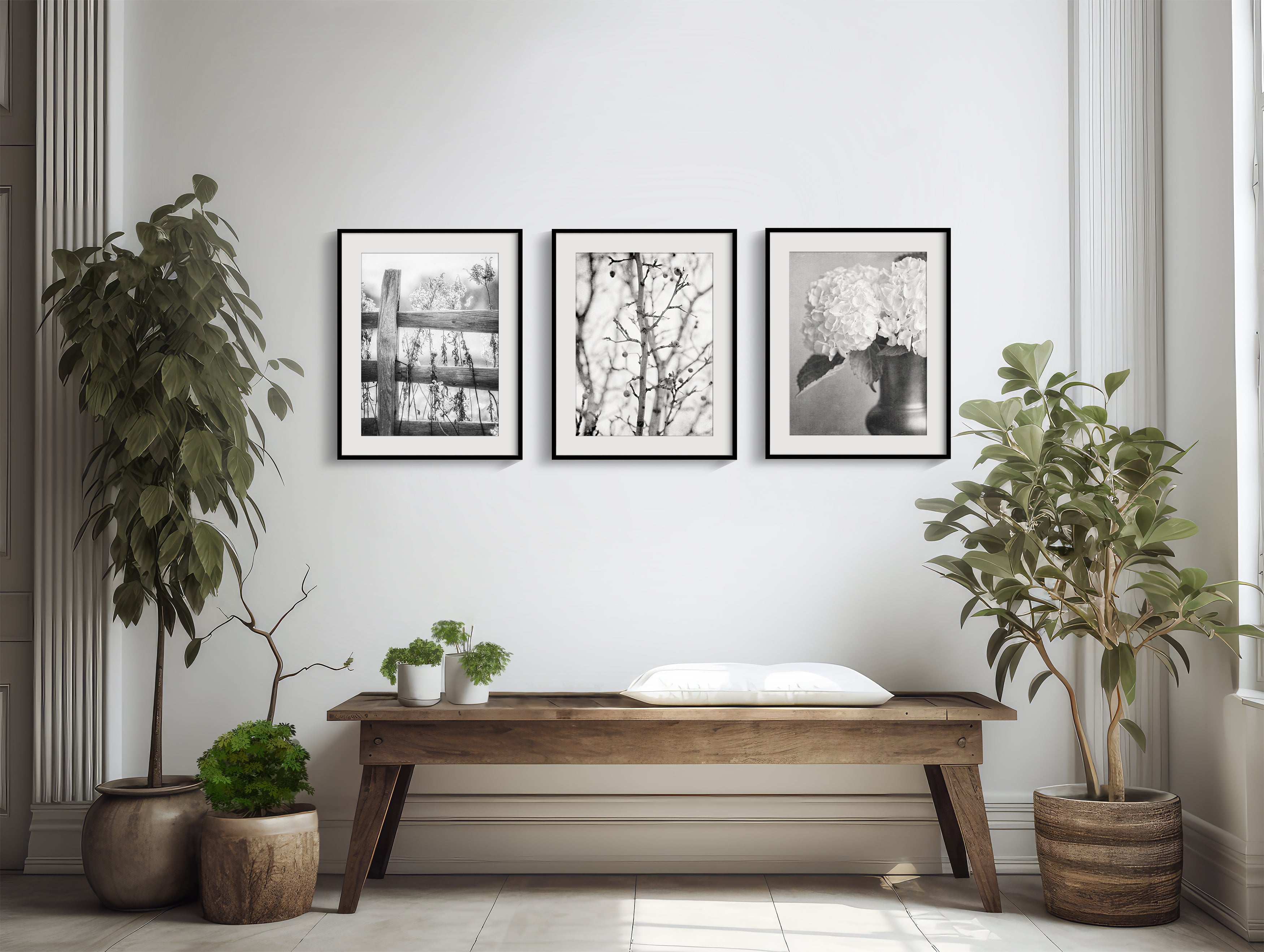 Minimalist Black and White Nature Art Prints - Set of 3