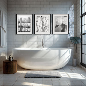 Lisa Russo Fine Art Nature Photography Minimalist Black and White Nature Art Prints - Set of 3