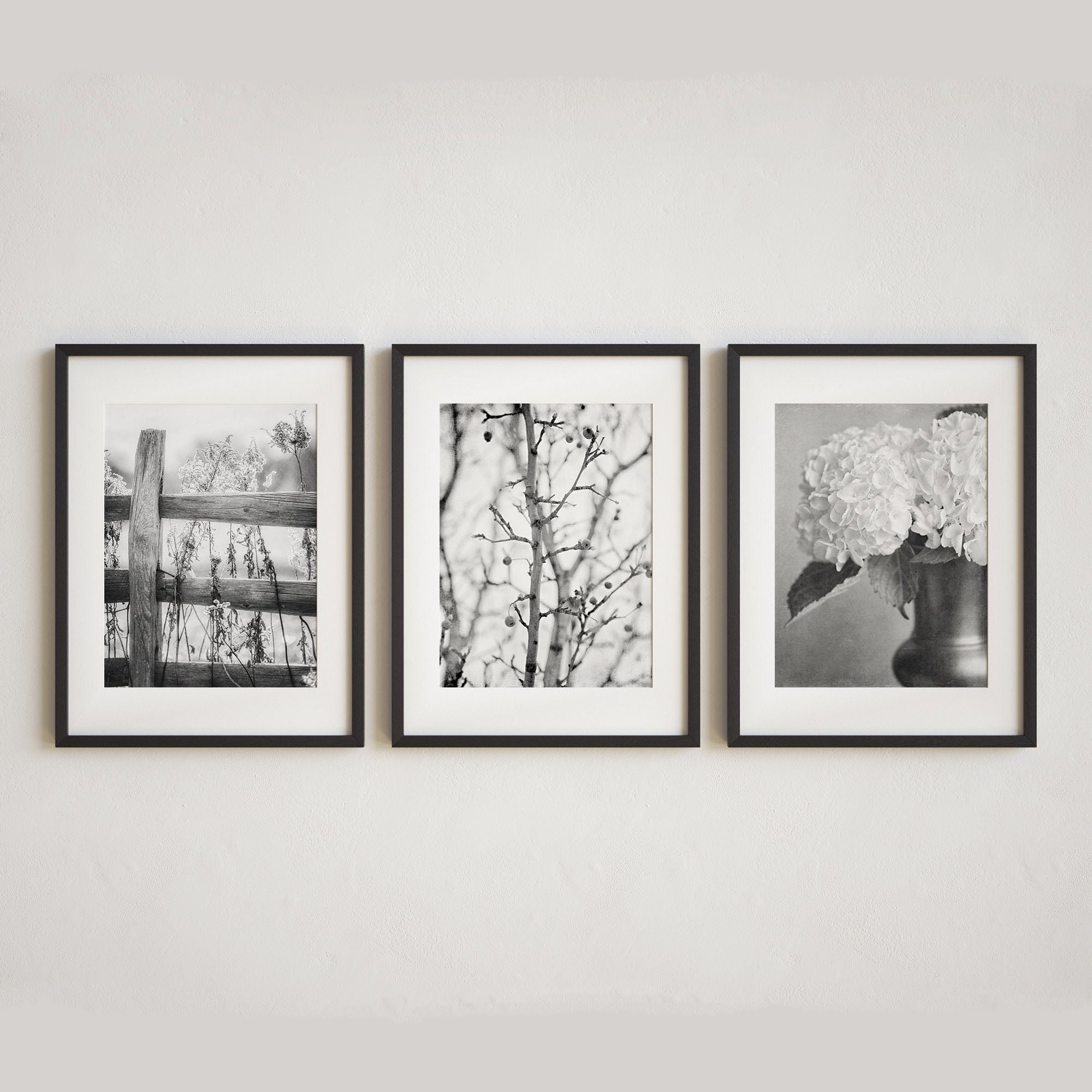 Black and white discount framed prints