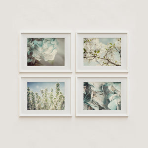 Shabby Chic Blue Floral Art Print Set - 4 Pieces - Pastel Flower Home Decor