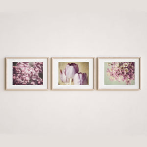 Lisa Russo Fine Art Nature Photography Pink & Purple Florals II