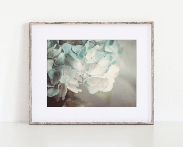Blue Hydrangea Floral Wall Decor Print - Nature Photography