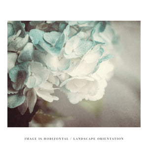 The image is a set of four framed photographs, each depicting different scenes related to nature and water.