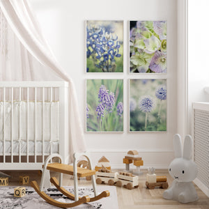 Lisa Russo Fine Art Nature Photography Purple French Country Florals | Nature Photography Art Prints Set of 4